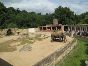 Zoo Prag